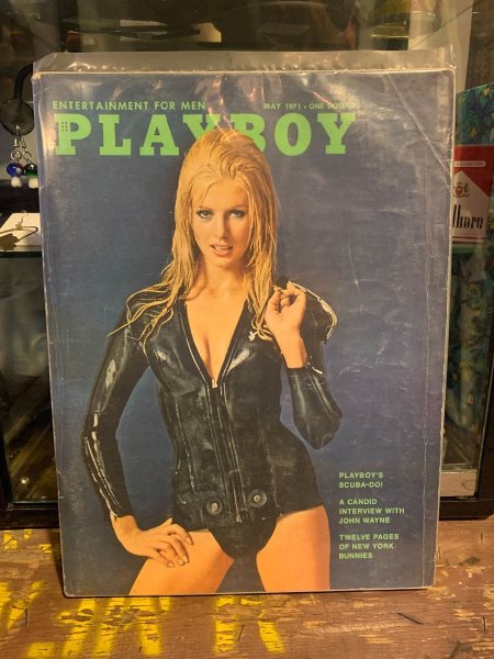 Nude Lauren Anderson Playboy